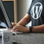 WordPress: What You Need To Know If You Want To Be A WordPress Programmer